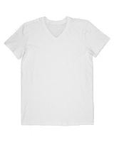 Men's V-Neck T-Shirt Men's V-Neck T-Shirt